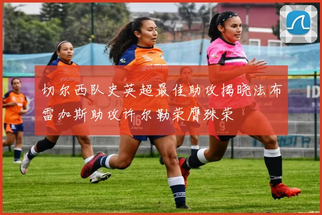 切尔西队史英超最佳助攻揭晓法布雷加斯助攻许尔勒荣膺殊荣